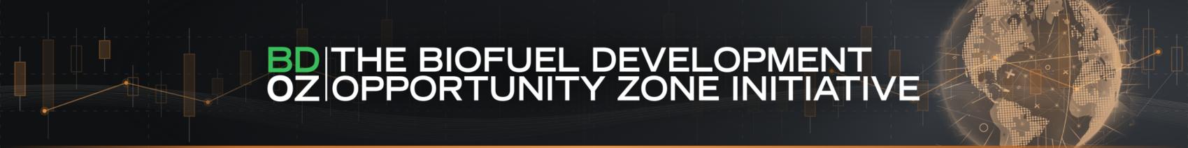 The BDO Zone Initiative