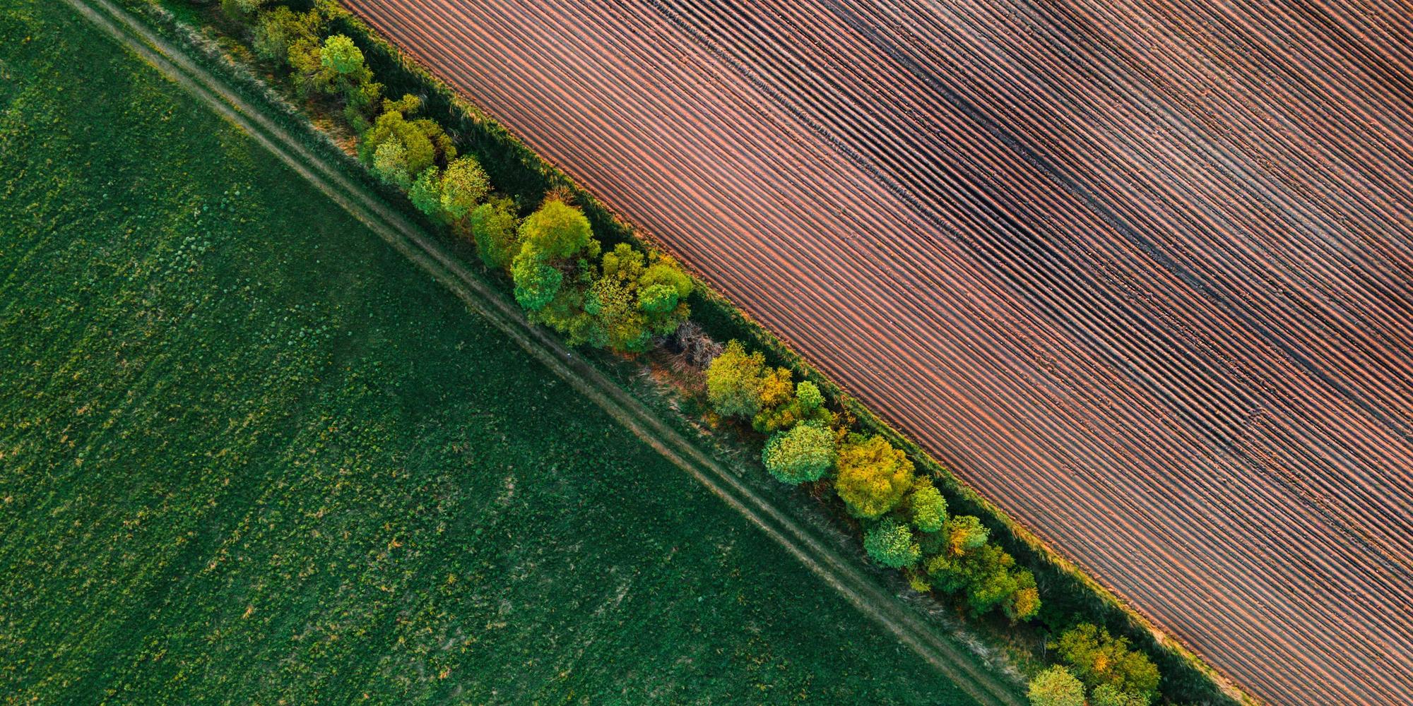 BDO ZoneCONNECT Webinar: Canton, South Dakota, Preston County, West Virginia, and Cavalier County, North Dakota