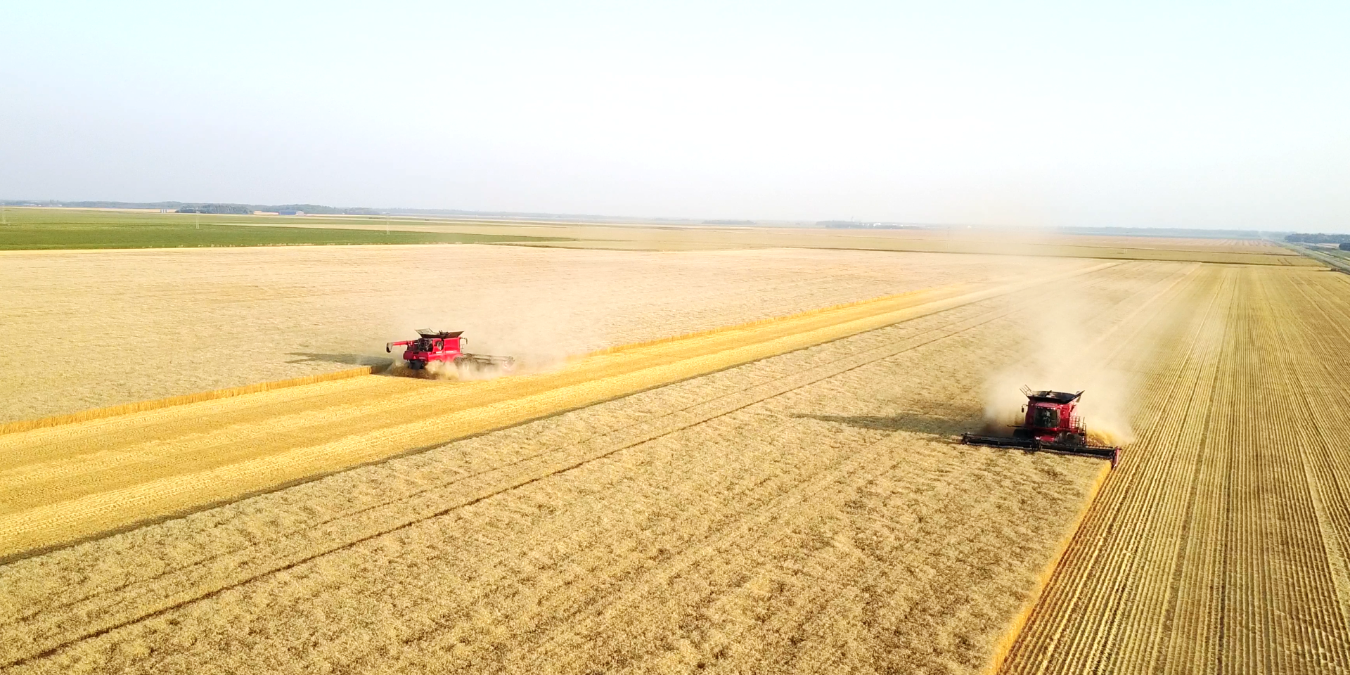 Beausejour-Brokenhead, Manitoba Issued BDO Zone 'A' Rating for Wheat Straw