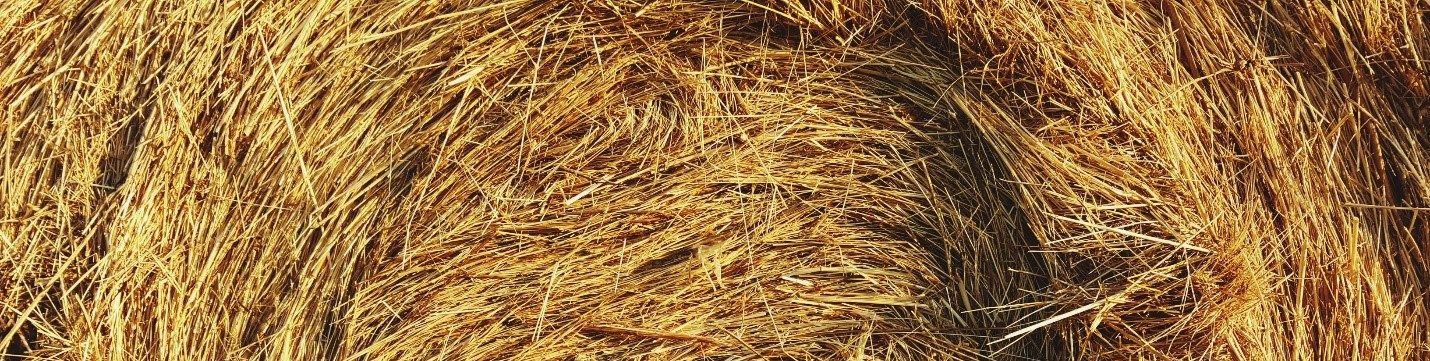 Coronach, Saskatchewan issued BDO Zone 'A' rating for flax straw