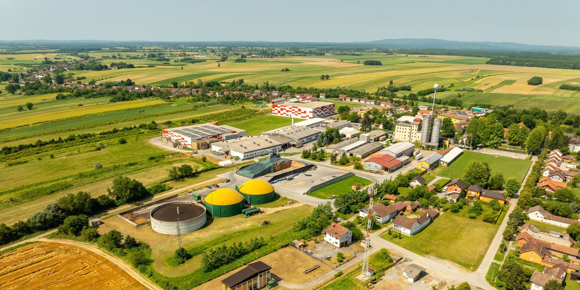 Ecostrat, New Energy Risk, Torrgas and Torrgreen Unite to Unlock Biomass Energy Finance