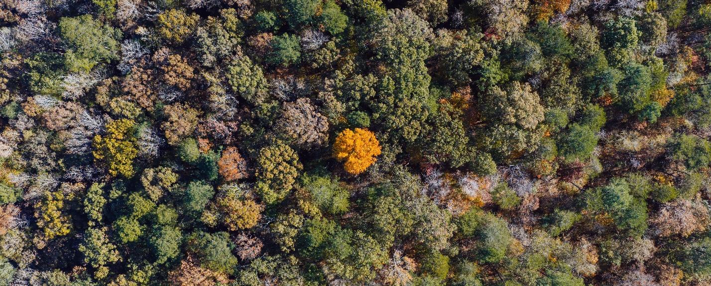 Ecostrat Ranked #8 of the “50 Hottest Companies in the Bioeconomy”