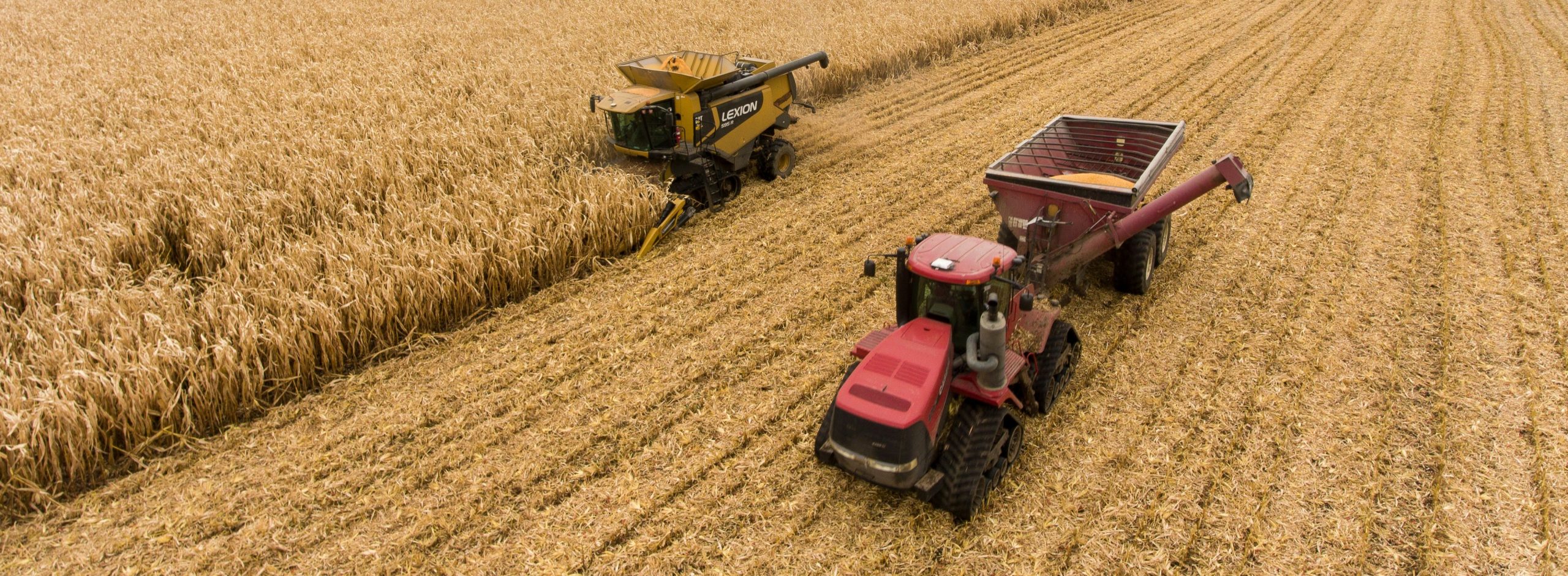 Emporia, Kansas Issued BDO Zone 'BBB' Rating for Corn Stover