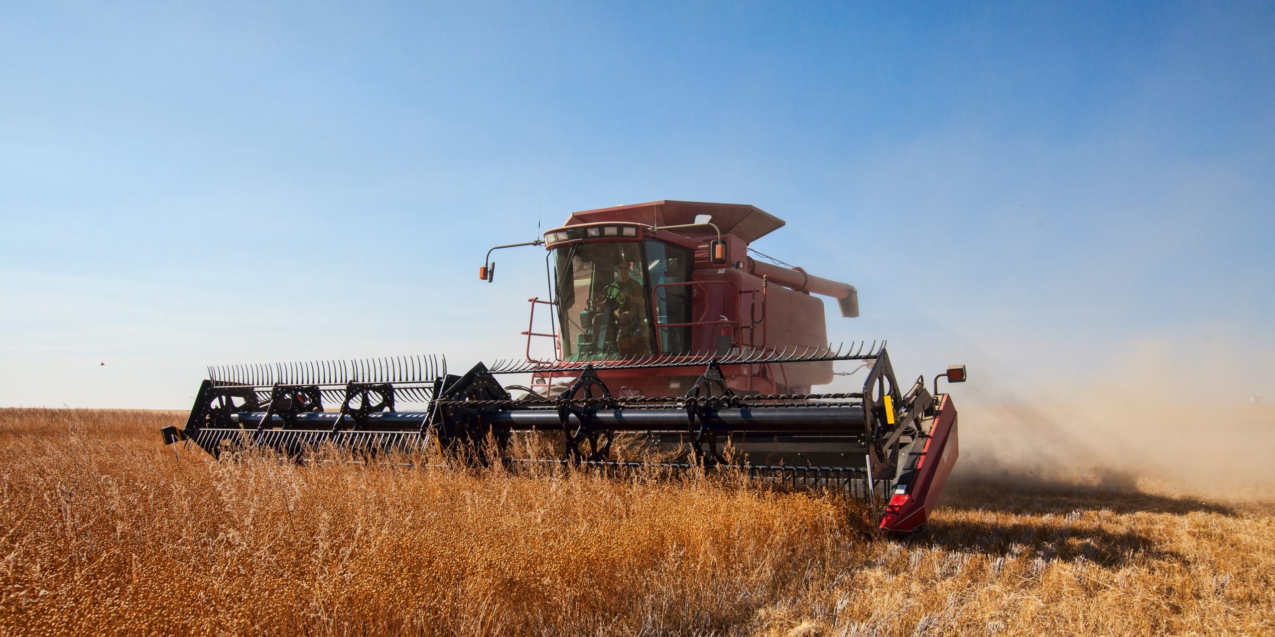 Esterhazy, Saskatchewan Issued BDO Zone 'A' Rating for Flax Straw