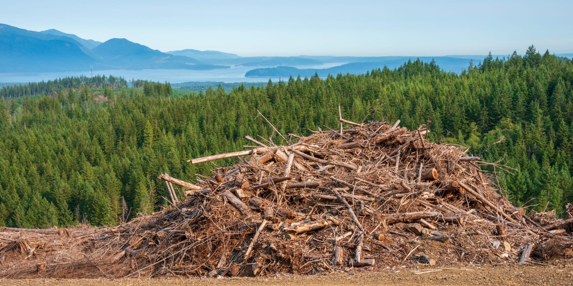 Lesser Slave Region, Alberta Issued BDO Zone 'BBB' Rating for Woody Biomass