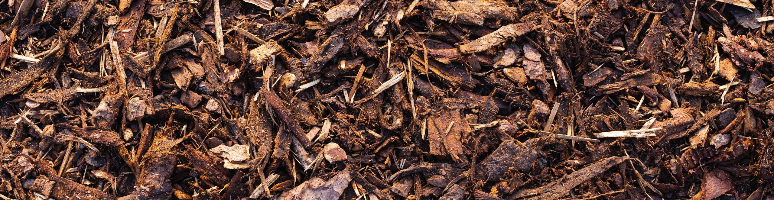 Little Colorado River, Arizona Issued BDO Zone 'A' Rating for Woody Biomass