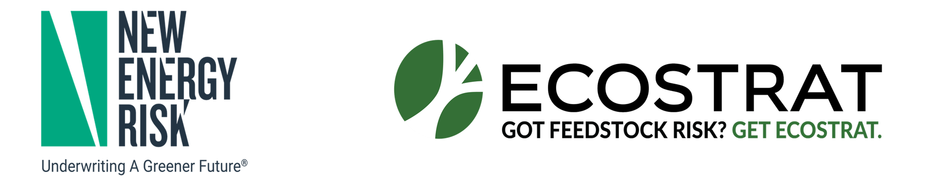 New Energy Risk and Ecostrat