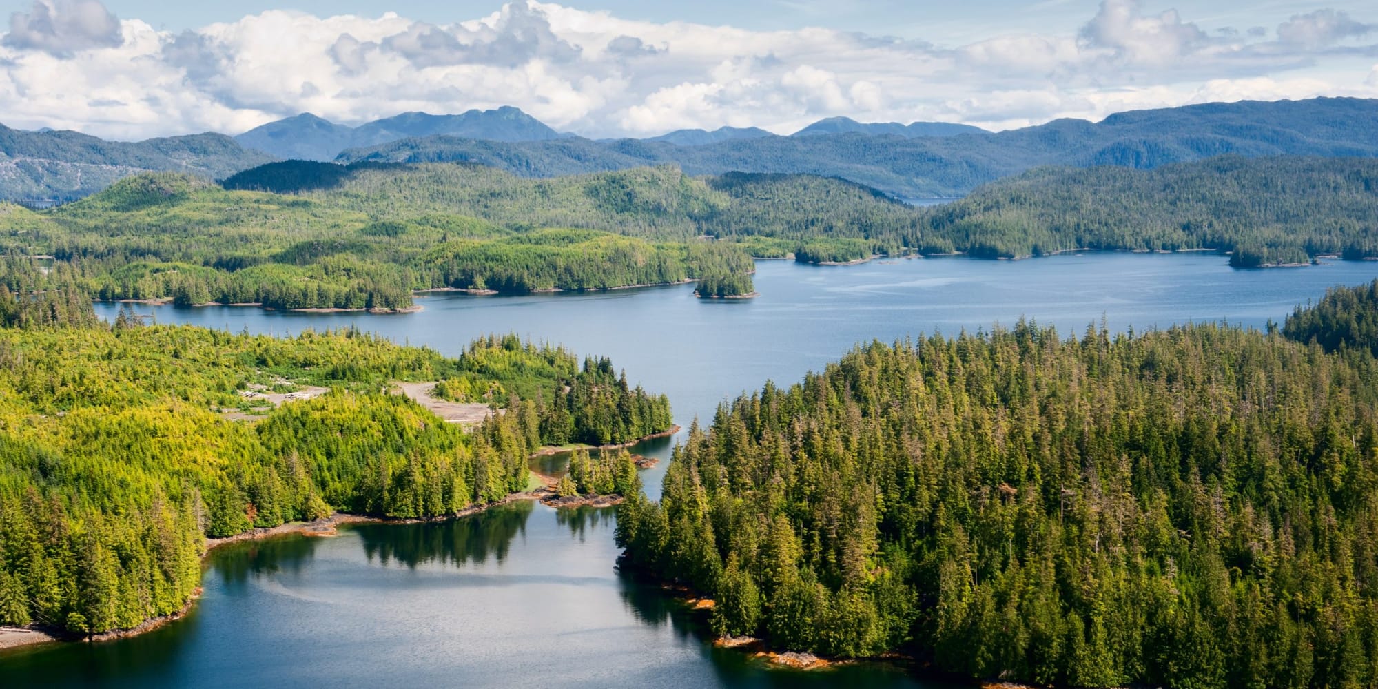 Prince of Wales Island, Alaska Issued BDO Zone 'BB' Rating for Woody Biomass