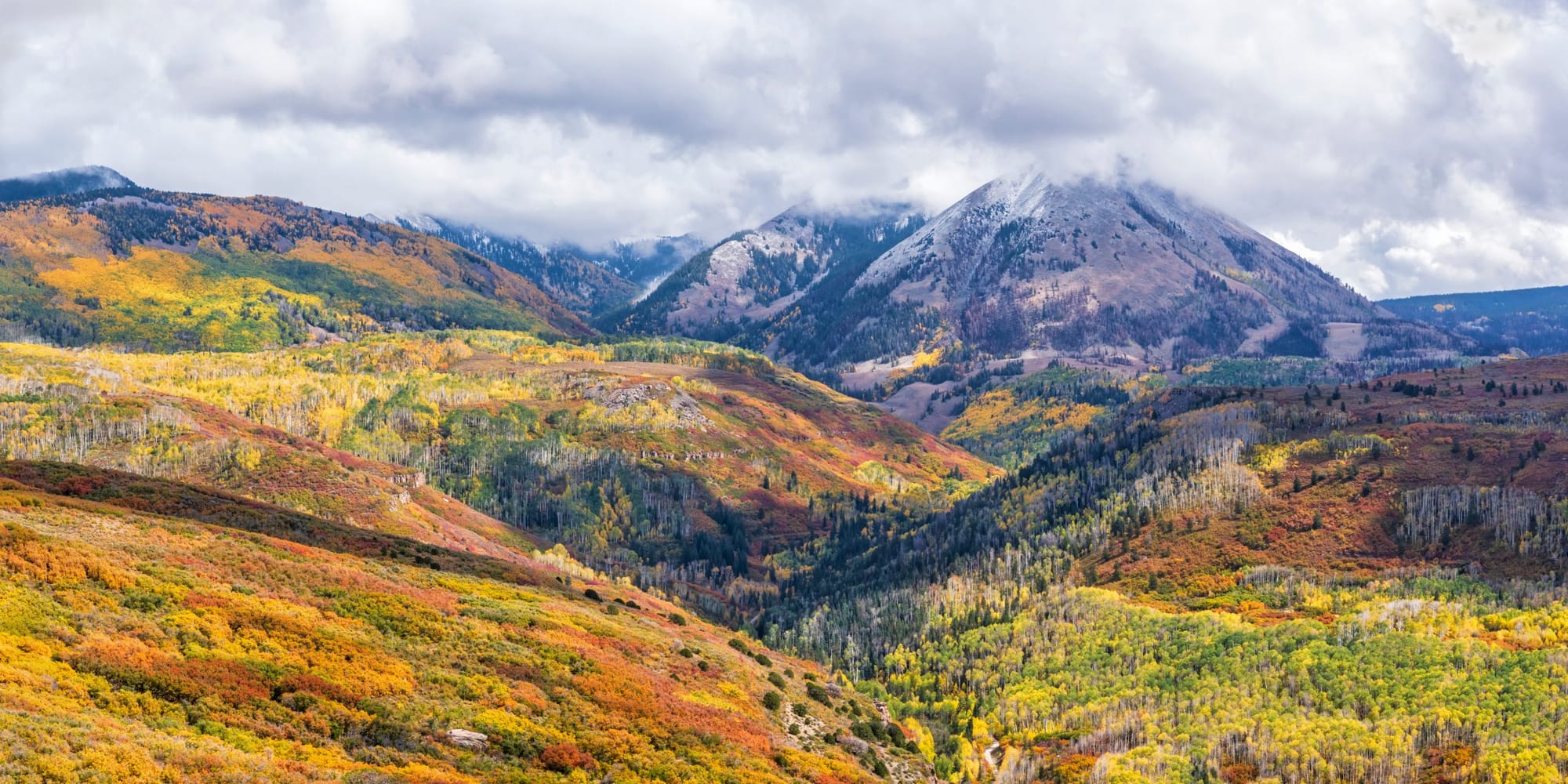 San Juan County, Utah Issued BDO Zone 'BB' Rating for Woody Biomass