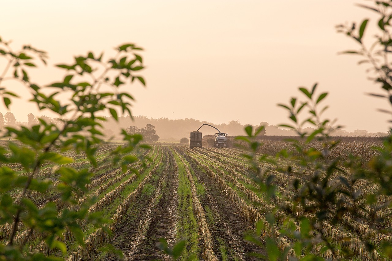 Southeast Kansas Issued BDO Zone 'BBB' Rating for Corn Stover