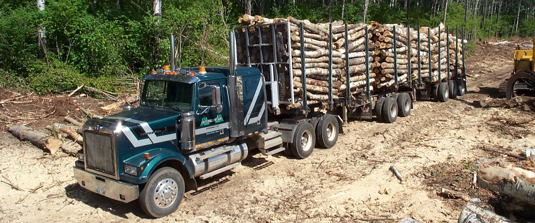 Swan River, Manitoba Issued BDO Zone 'BBB' Rating for Woody Biomass