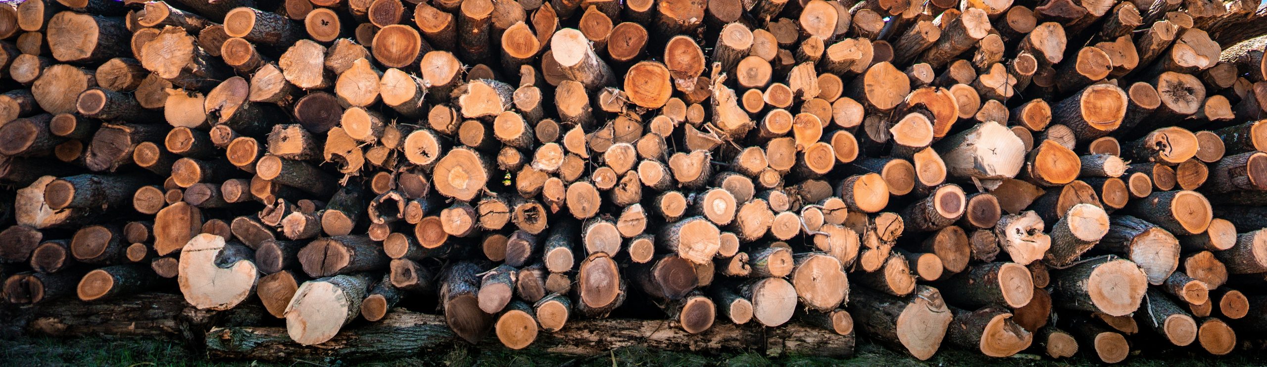 Trois-Rivières, Québec issued BDO Zone 'A' rating for woody biomass
