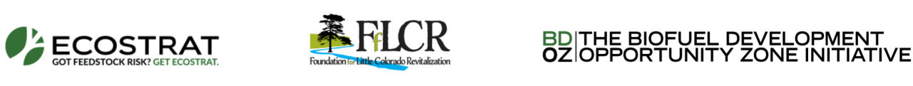 Ecostrat, Foundation for Little Colorado Revitalization, and BDO Zone Initiative