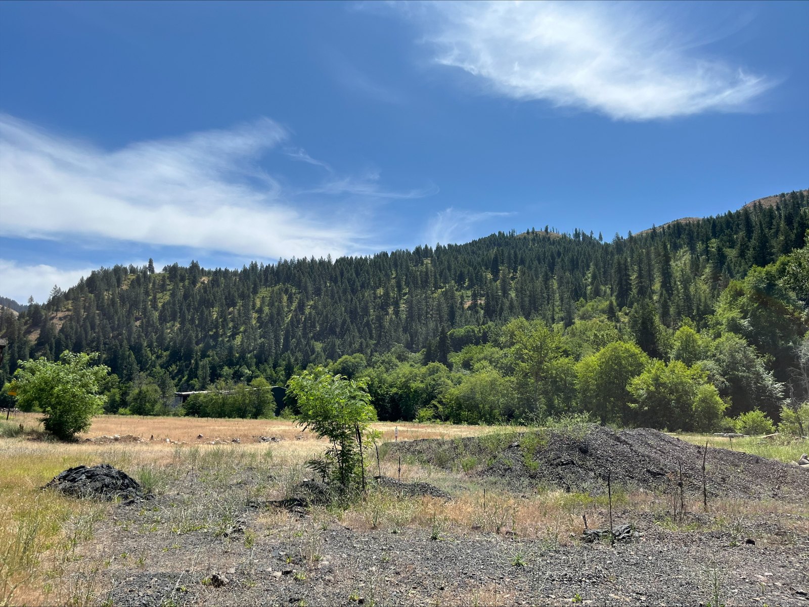 Orofino Site — former lumber mill grounds