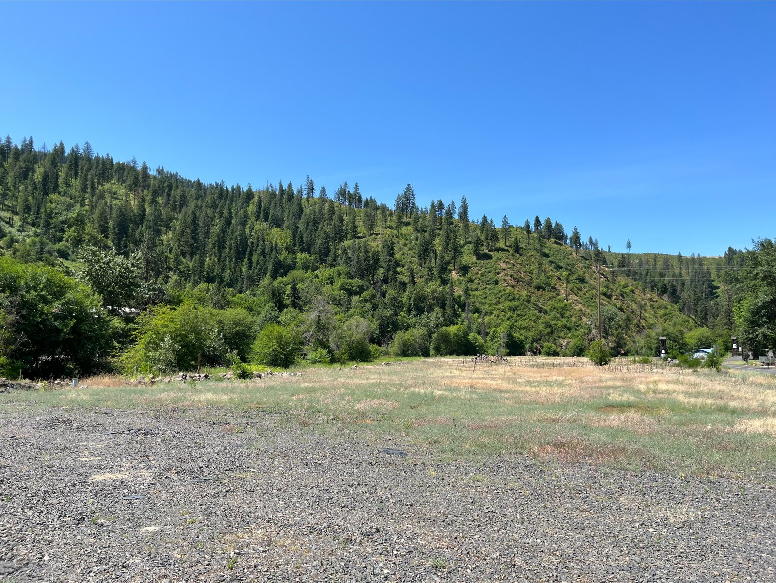Orofino Site — surrounding timberland