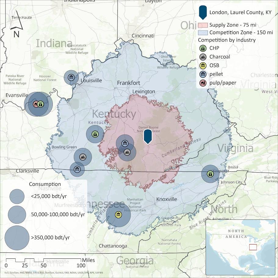 Competition by industry across the Competition Zone
