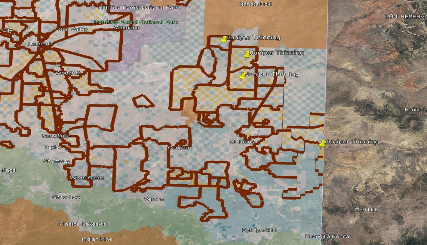 BLM lands for future harvesting of woodland biomass