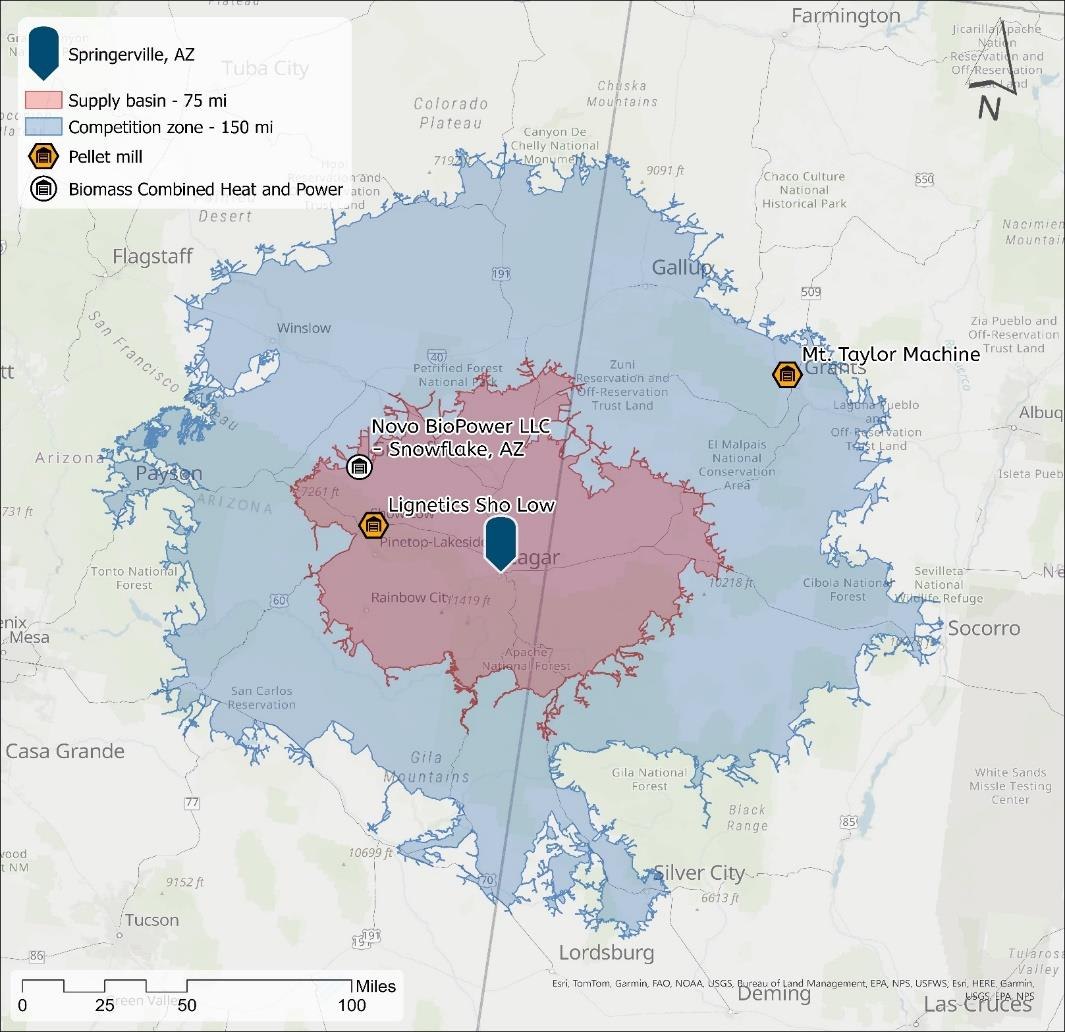 Woody biomass competitors within the Competition Zone