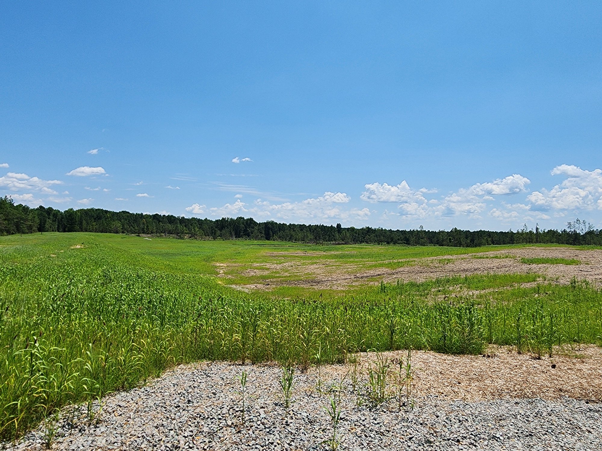 Iron Horse Industrial Park — cleared and graded, east