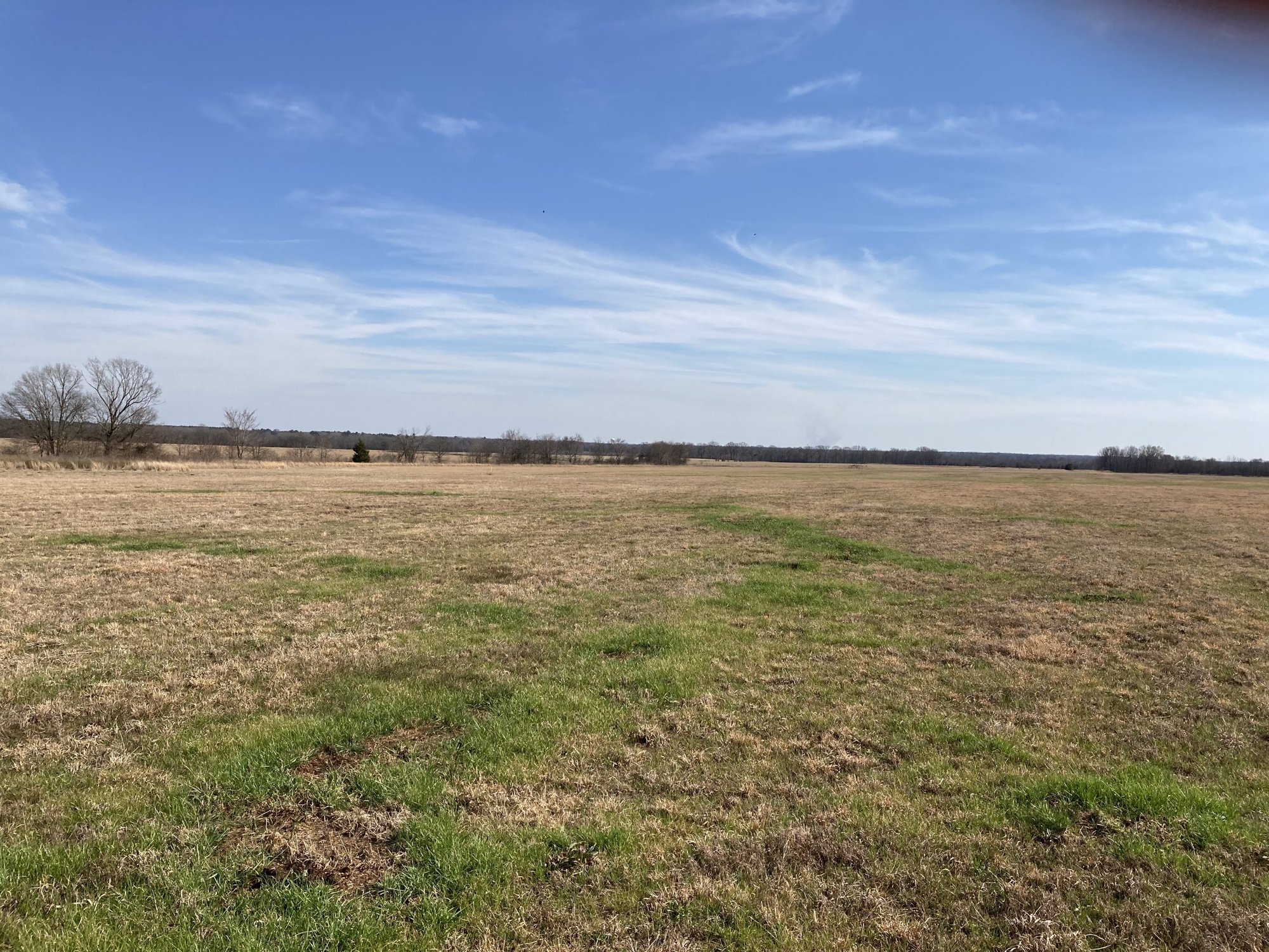 HOPE002 Site — land view