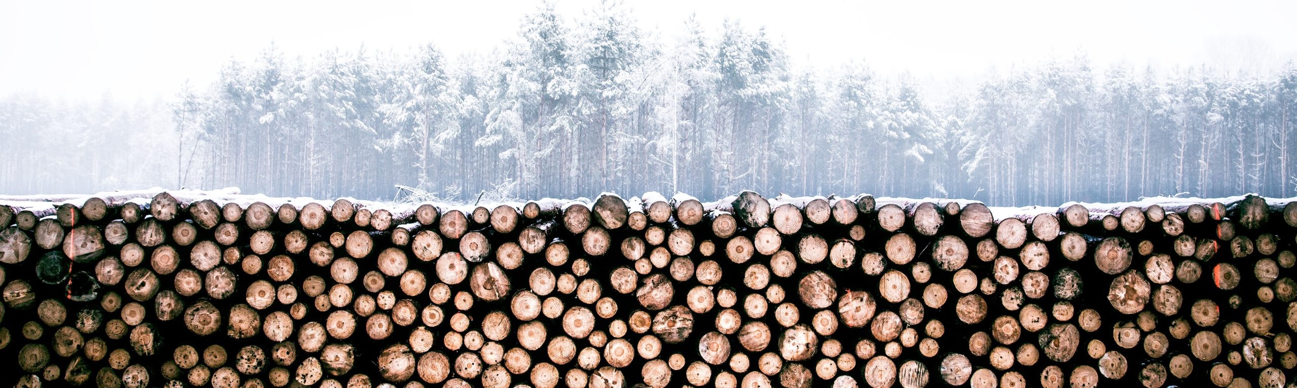 Greenview & Grande Prairie, Alberta issued BDO Zone 'A' rating for woody biomass
